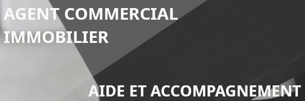 aide et accompagnement d'un agent commercial immobilier