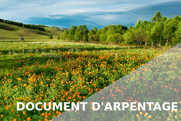 document arpentage