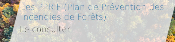 Vue aérienne d'une forêt concernée par un PPRIF