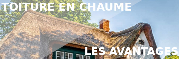 Toiture en chaume